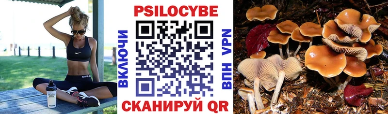 Псилоцибиновые грибы прущие грибы  KRAKEN онион  Малгобек  купить  